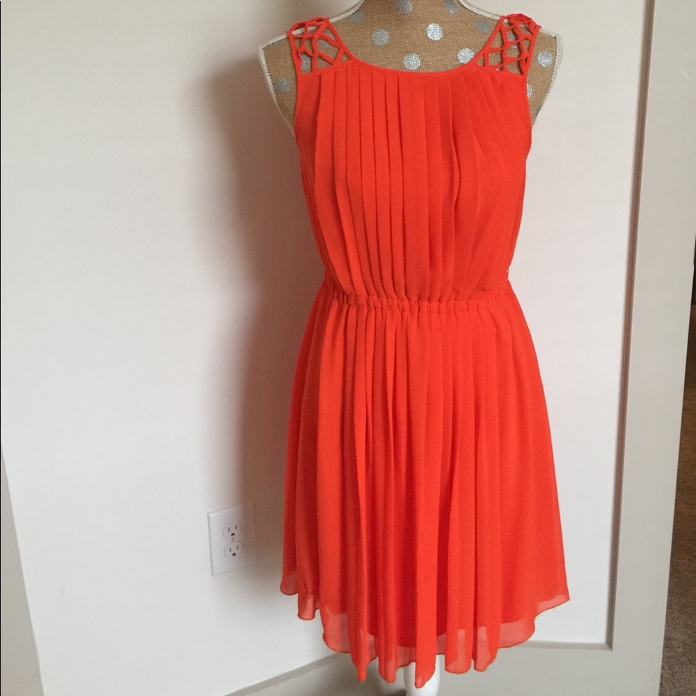 Pleated Dress